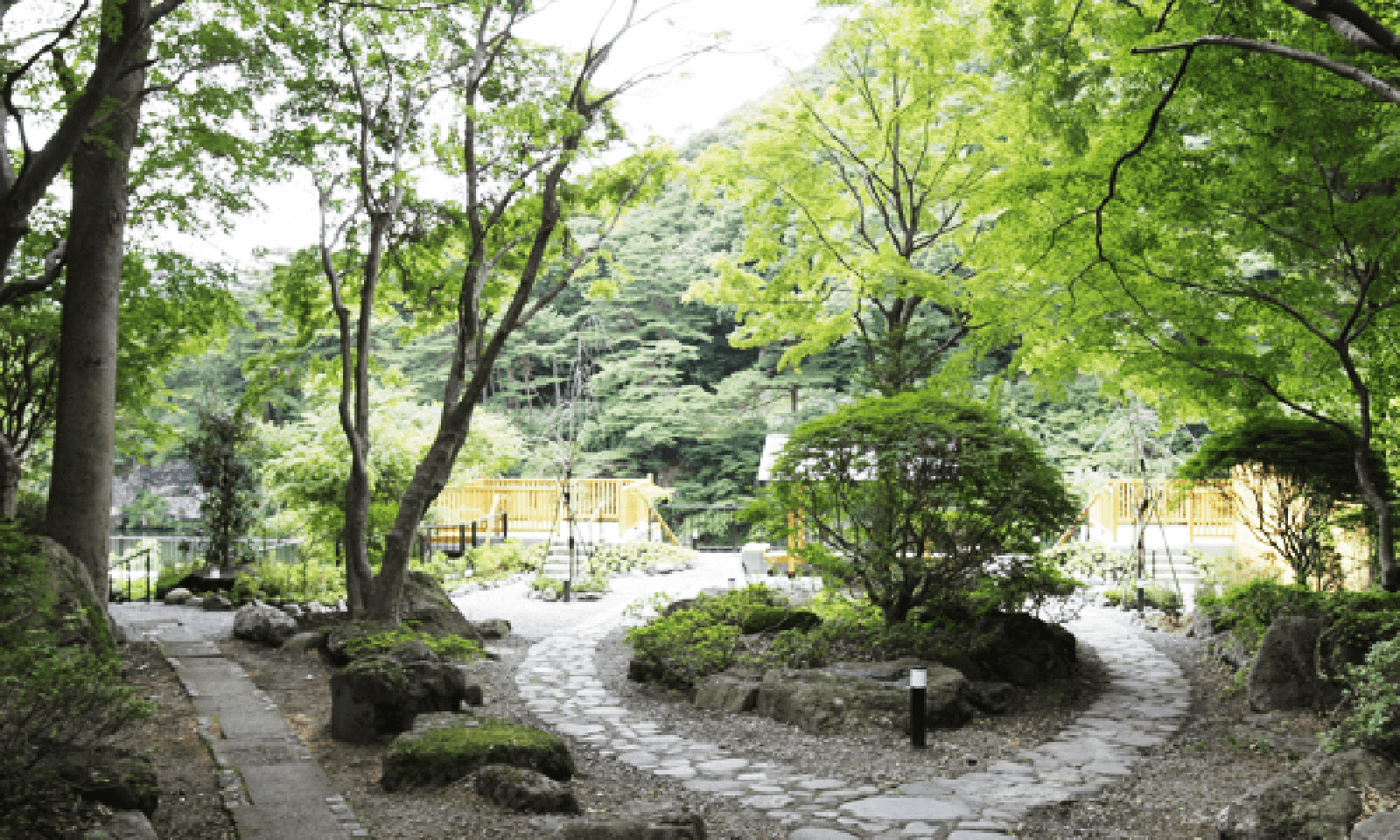 『四季の森』の朝景