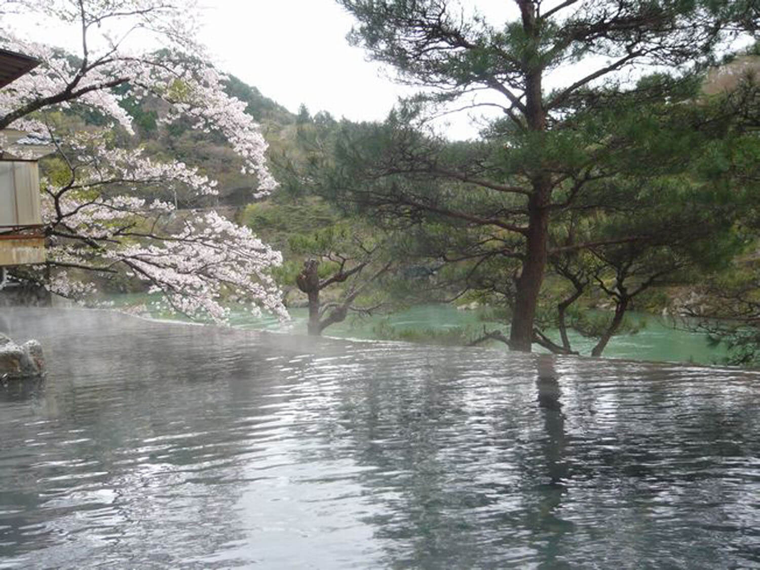 嬉四季湯　春