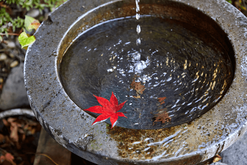 紅葉の水