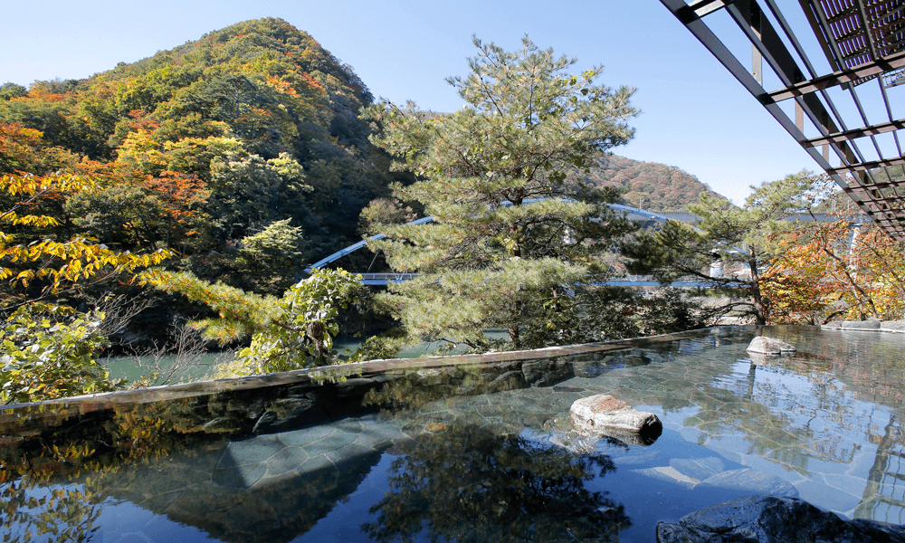 露天風呂 姫の湯「嬉四季湯」