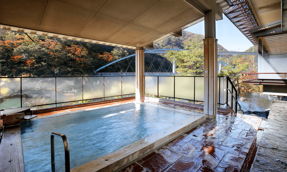 屋根付き露天風呂 姫の湯