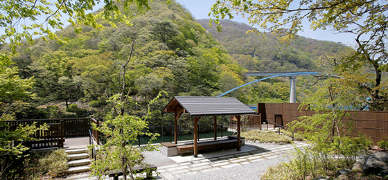 Garden and foot bath
