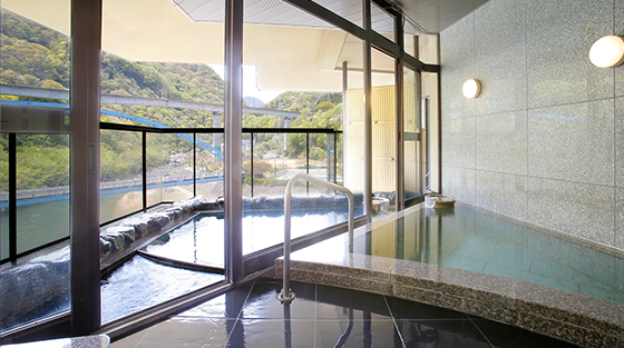 Annex Hanami-tei: Suite with an open-air hot spring bath